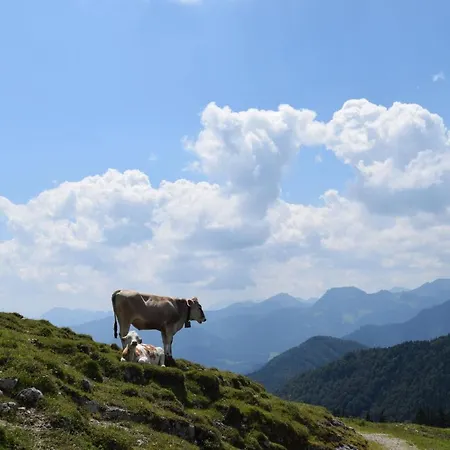 Ξενοδοχείο με διαμερίσματα Chiemsee Frasdorf