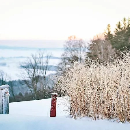 Chiemsee Apartmanhotel 4*