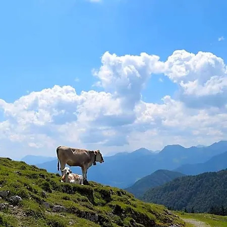 Chiemsee Ξενοδοχείο με διαμερίσματα 4*