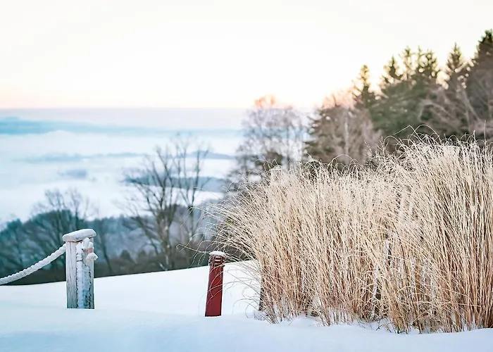 Chiemsee Lejlighedshotel 4*